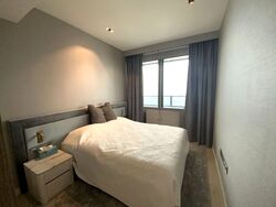 Wallich Residence  (D2), Condominium #560814141